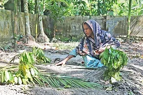 রাষ্ট্রের নির্মাতাদের সম্মান জানানো নিয়ে সংকট